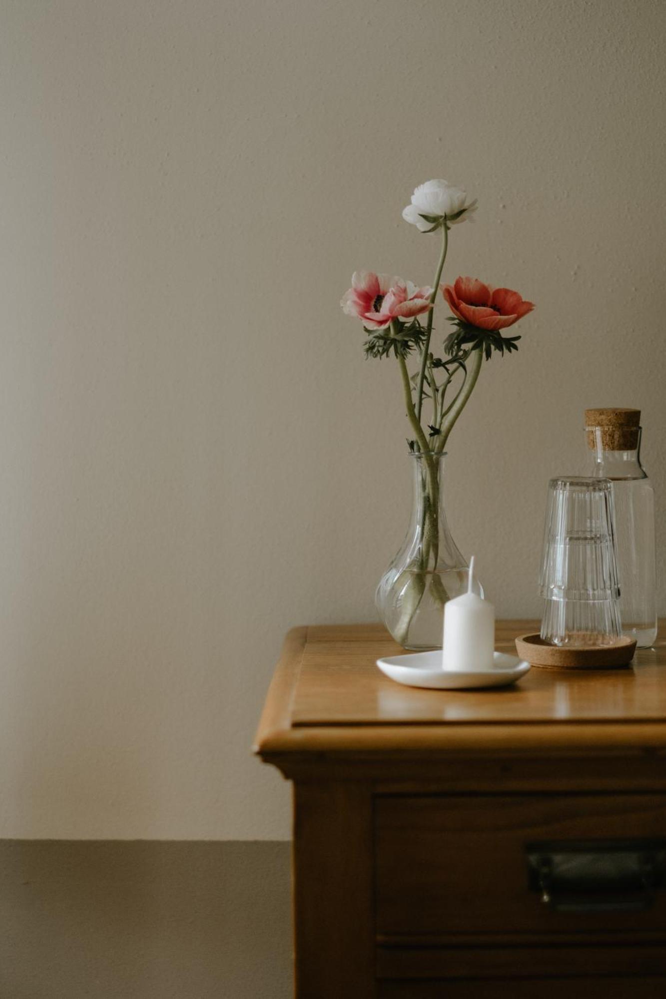 Bed and Breakfast Belcasale Vignale Esterno foto
